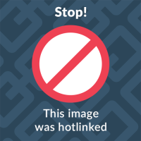 513824762_24425752307030195_8084044386712681736_n